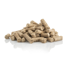   Tierlieb /Sanct Bernhard/ Emésztésjavító csemege lovaknak 9 kg