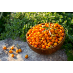 Medicura Homoktövis 100% BIO gyümölcslé 330ml