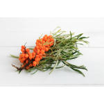 Medicura Homoktövis 100% BIO gyümölcslé 330ml