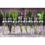 Varga Hajcseppek hajhullás ellen - Szórófejjel